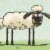 Home Sheep