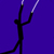 Double Wires
